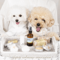 狗狗天然護理用品講師證照課程™